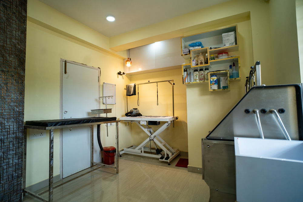 furry-tails-kolkata-newtown-pet-grooming-store