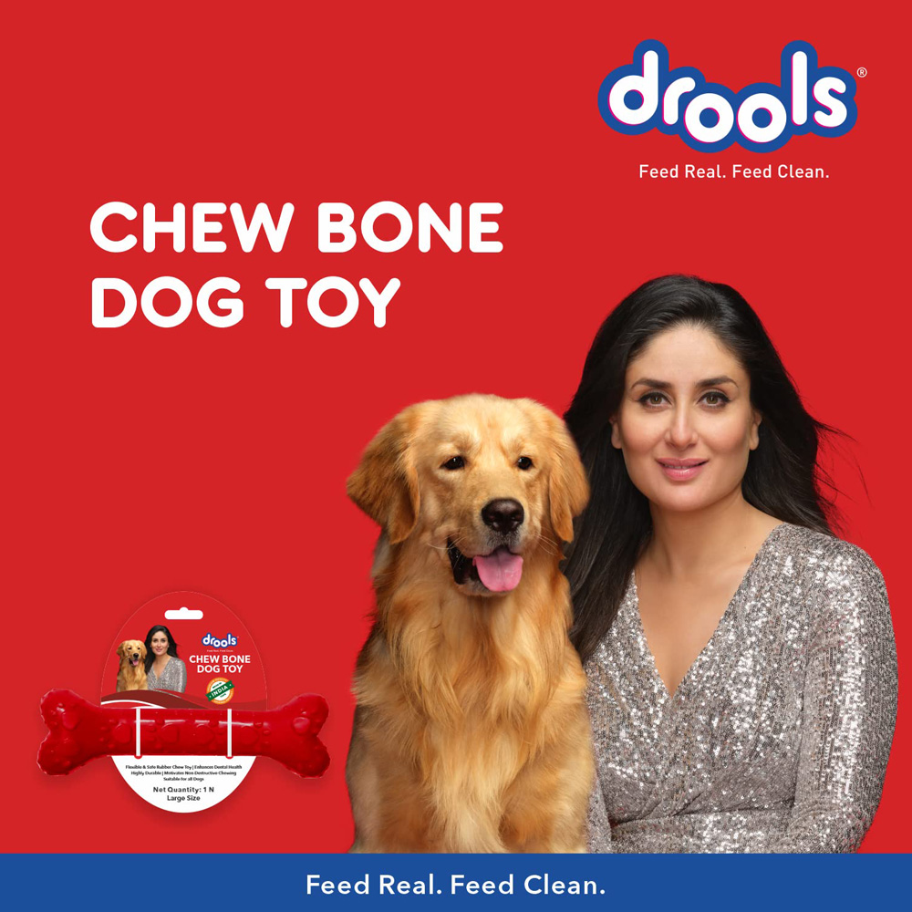 Drools dog chew bone teething toy