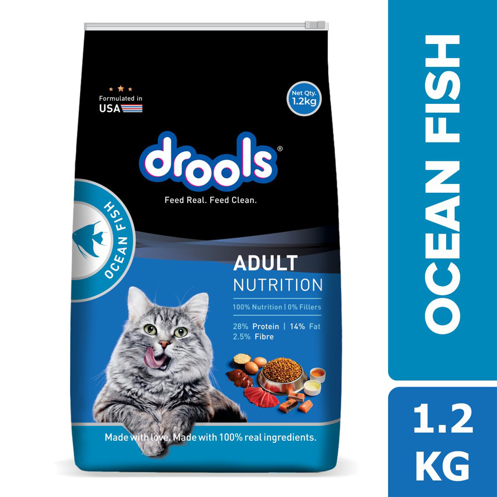 Drools cat ocean fish