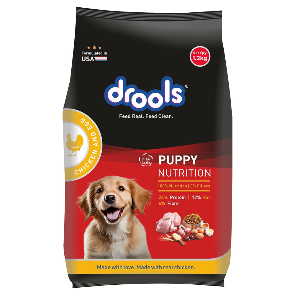 Drools chicken and egg puppy